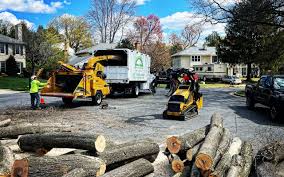 How Our Tree Care Process Works  in  Deatsville, AL