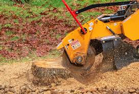 Best Utility Line Clearance  in Deatsville, AL