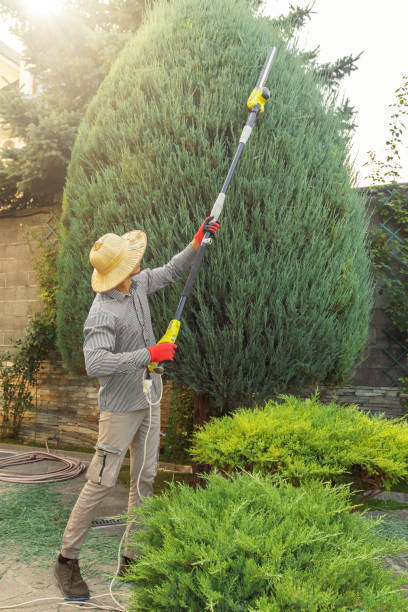 Best Pest Control for Lawns  in Deatsville, AL